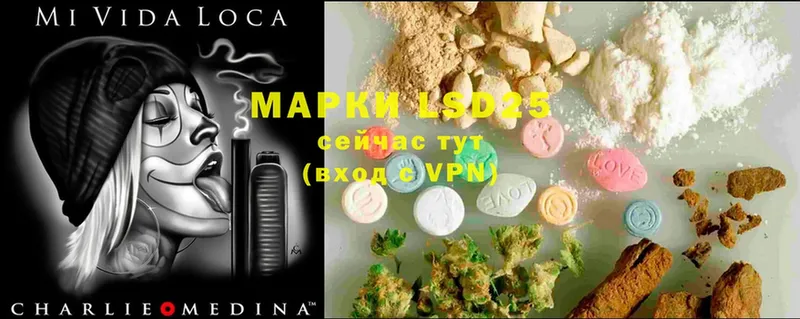 купить наркотик  Вихоревка  LSD-25 экстази ecstasy 